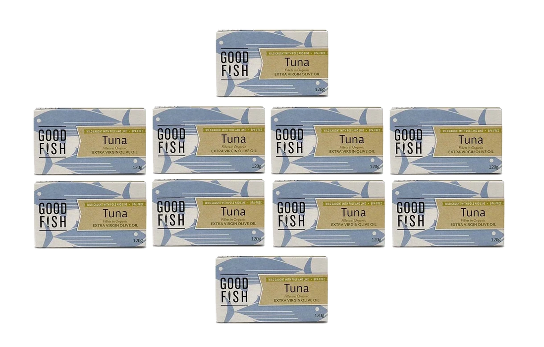 Wild Caught Tuna Fillets in Brine - 120g Can x 10