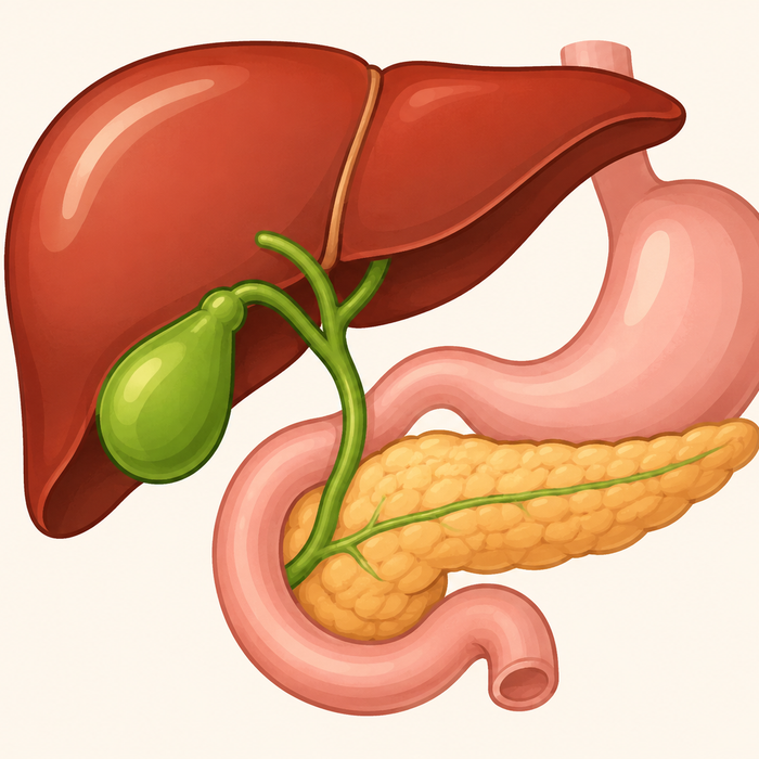 Ox Bile Supplementation After Gallbladder Removal