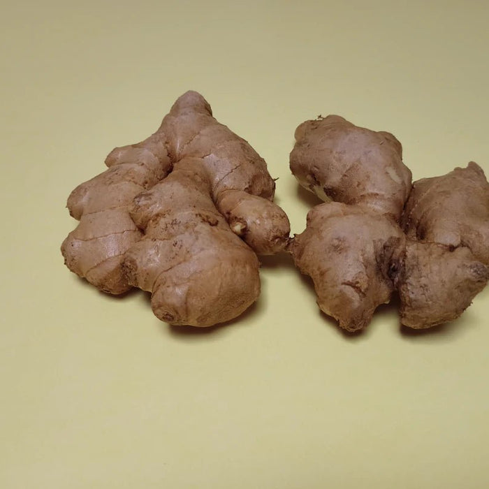 The Significance of Electrolytes in a Carnivore Diet - Carnivore Store