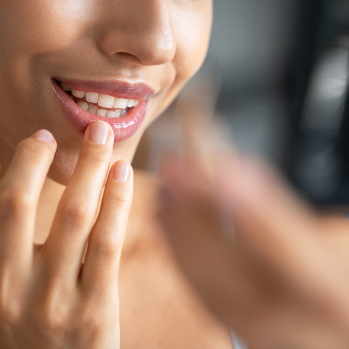 Tips for Choosing Natural Lip Care Products - Carnivore Store