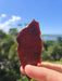 Beef Chips - Rosemary & Garlic - 40g - Best Before 17 Apr 2026 held up outdoors with blue sky and greenery behind.