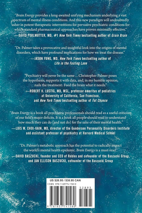 Brain Energy - Hard Cover - Christopher M. Palmer MD