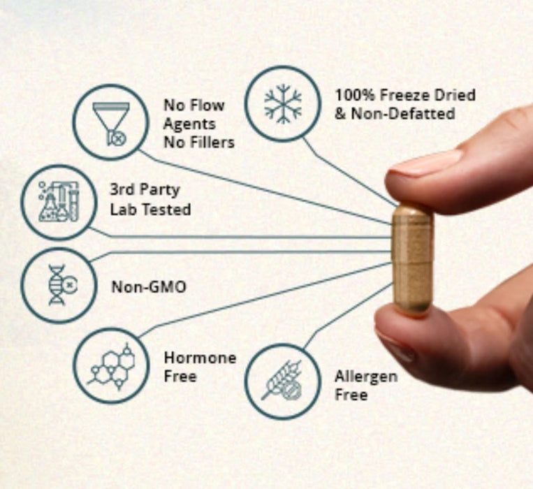 Digestive Enzymes - 160 Capsules - NXGEN Wholefoods