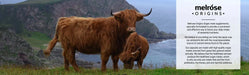 Energy & Wellbeing - Grass Fed Beef Liver - Carnivore Store