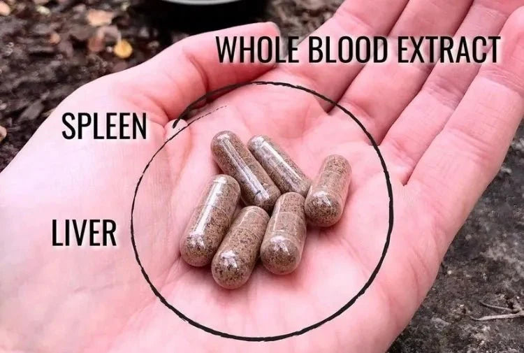 Grass Fed Whole Blood Capsules - Yo Keto