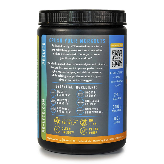 Re - Lyte Pre - Workout Blueberry Lemondade - Carnivore Store