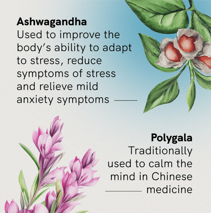 Stress & Anxiety with Ashwagandha - 60 Tablets